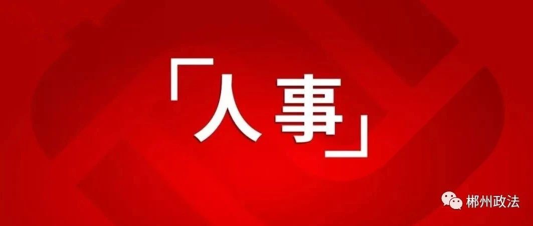 郴州市人事任免最新动态